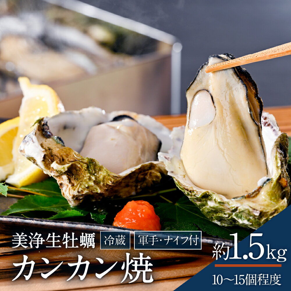 【ふるさと納税】 先行予約 中野水産 美浄生牡蠣 冷蔵 カンカン焼 軍手 牡蠣ナイフ 付 約1.5kg (10〜15個程度)【2025年12月上旬より発送】 カキ かき 殻付き 生牡蠣 アウトドア キャンプ バーベキュー 旬 海鮮 魚介 産地直送 送料無料 国産 瀬戸内 広島かき 広島県 呉市