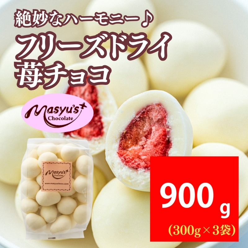 フリーズドライ苺チョコ 900g 300g×3袋 11月～3月発送 チョコレート