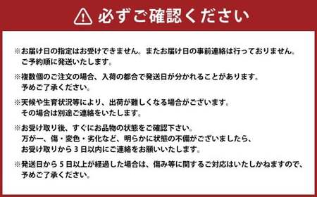 （訳あり） ブラックビート 1房 約500～550g ぶどう ブドウ 葡萄 果物 くだもの フルーツ 常温 【2026年8月上旬～9月下旬迄発送予定】