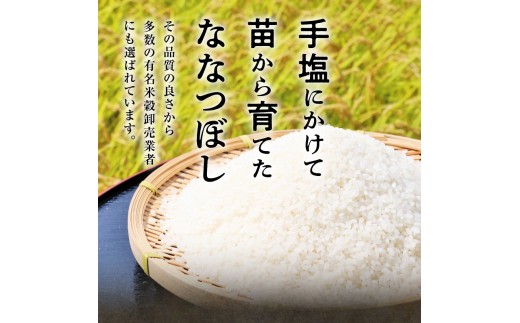 【30日以内発送】令和8年産 北海道産 ななつぼし 精米 2kg 特A 雨竜町 お米 米 厳選 人気 ＜ フジエファーム ＞_R8U002-001-30D