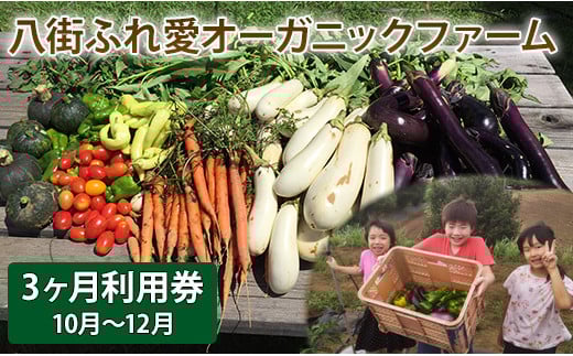 
            八街ふれ愛オーガニックファーム　3か月利用券（2025年10～12月）
          