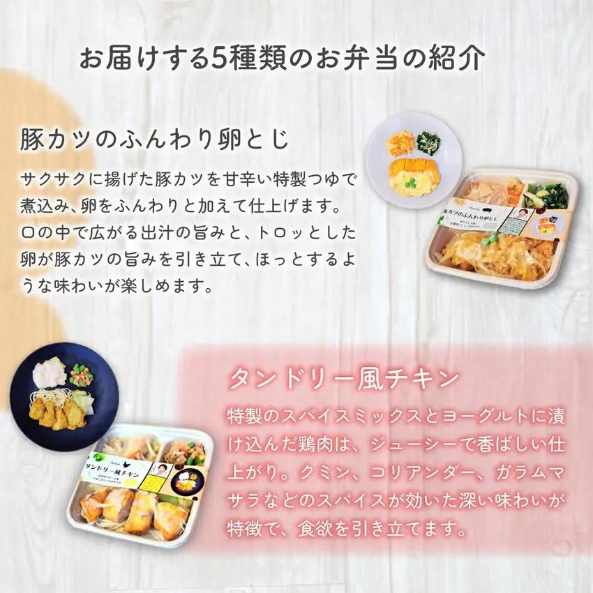 冷凍おかず Studish5種セット-第一弾-【032-a001】