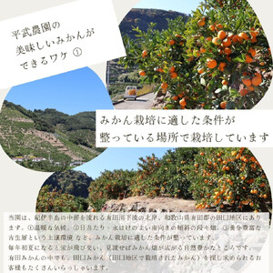 農家直送！有田みかん（約3kg Sサイズ 秀品）とジュースのセット 平武農園 ～蛍飛ぶ町から旬の便り～