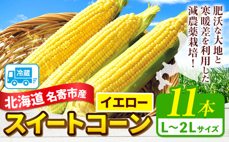 【2026年出荷】 北海道名寄産スイートコーンイエロー L〜2Lサイズ11本 《2026年8月中旬-9月中旬頃出荷予定》 NPO法人なよろ観光まちづくり協会 北海道 とうもろこし トウモロコシ  Lサイズ 2Lサイズ 取り寄せ 新鮮 産地直送 甘い 糖度 冷蔵 レビュー高評価