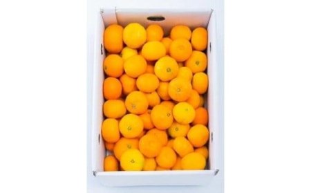【先行予約】 8月上旬から発送 ハウスみかん 2S～Sサイズ 約5kg（愛媛県産 みかん 蜜柑 オレンジ 柑橘 果物 フルーツ 家庭用 お取り寄せ おすすめ 愛媛県 松山市 ）【FA0682】