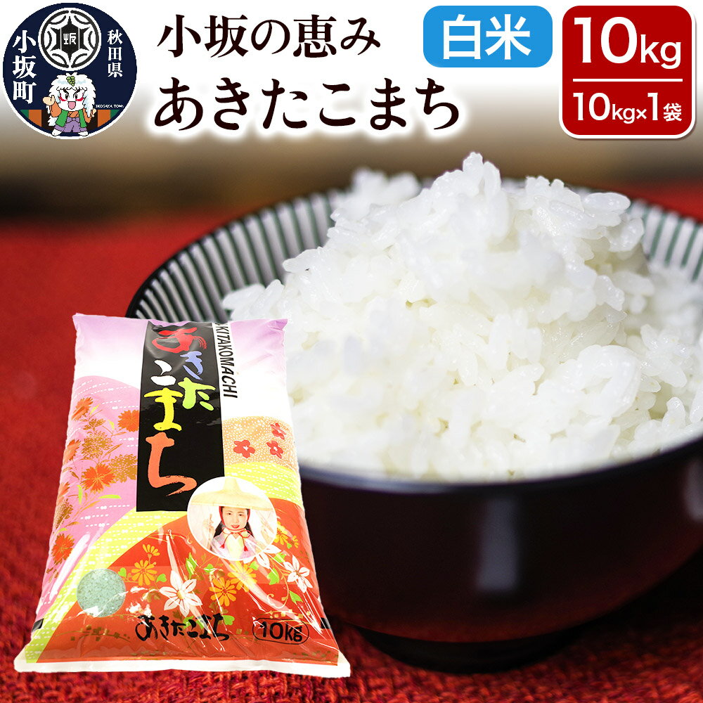 【ふるさと納税】小坂の恵み あきたこまち 10kg（10kg×1袋）【白米】お米 あきたこまち 秋田県 小坂町