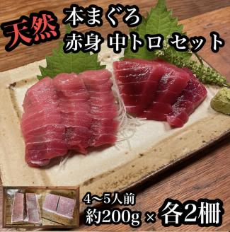 貴重な天然本鮪 赤身 約200g 中トロ 約200g 各2柵ずつ 4～5人前●赤身はマグロの中心部天身を使用！中とろの脂はくどくない上質な脂！【赤身 天身 惣菜 海鮮】【神奈川県小田原市早川】