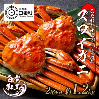 ふるさと納税 白老町 訳あり　ズワイガニ 姿 ボイル済み 冷凍 2尾セット 約1.2kg BM028