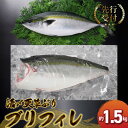 【ふるさと納税】【先行予約】 活〆 天草ぶり ブリフィレ 約 1.5kg 真空パック 旨味 凝縮 ほどよい 脂 餌料 使い分け 給餌管理 HACCP 養殖 鮮度 そのまま 産地加工 ぶり フィレ 冷蔵 便利 海鮮 海産物 海の幸 九州 熊本県 天草市 お取り寄せ 送料無料