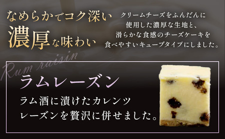NYチーズケーキ ラムレーズン 16個(30日以内に出荷予定)サクセム株式会社