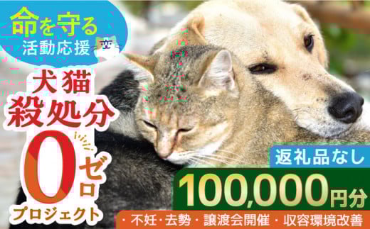【お礼の品なし】犬猫殺処分ゼロプロジェクト＜100,000円＞長崎県ふるさと納税[42ZZAE006]長崎 長崎の変 動物 犬 猫 いぬ ねこ イヌ ネコ 保護犬 保護猫 支援 応援  動物愛護 保護 どうぶつ 地域猫 寄付のみ