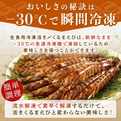 ふるさと納税 松浦市 生食用  瞬間冷凍活き〆福島くるまえび500g |  | 01