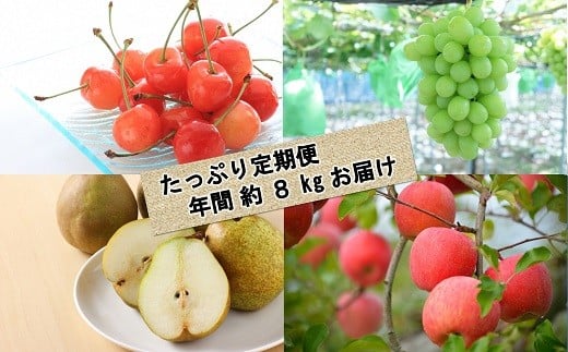 【令和6年産先行予約】 《定期便3回》 くだもの”たっぷり