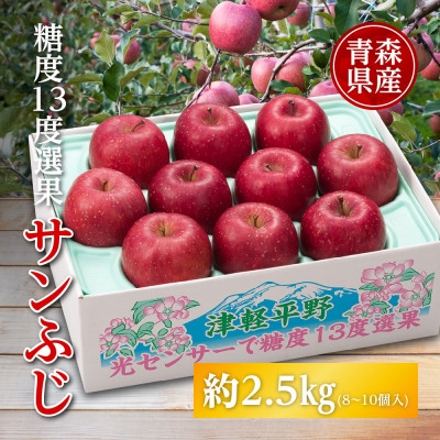 
                  りんご/青森県産　糖度13度選果 サンふじ 約2.5kg【1655310】
                