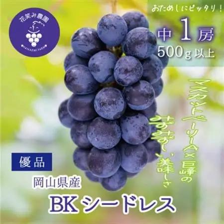 【2026年先行受付】岡山　花笑み農園の『BKシードレス』500g以上(中1房)　B-中1【配送不可地域：離島】【1695409】