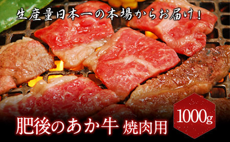 肥後のあか牛 焼肉用  1000g アントレ 牛肉 あか牛 赤牛 あかうし《30日以内に出荷予定(土日祝除く)》