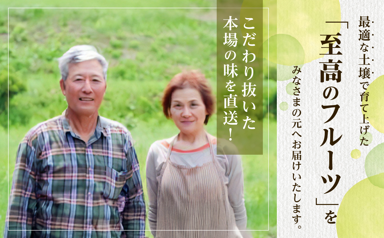 【2026年発送分　先行受付開始！】びぜん葡萄「シャインマスカット」「桃太郎ぶどう」（ハウス栽培）各1房入（令和8年8月中旬～9月中旬頃発送）【 岡山県備前市産 シャインマスカット 桃太郎ぶどう ハウス栽培 各１房入 樹上完熟 】