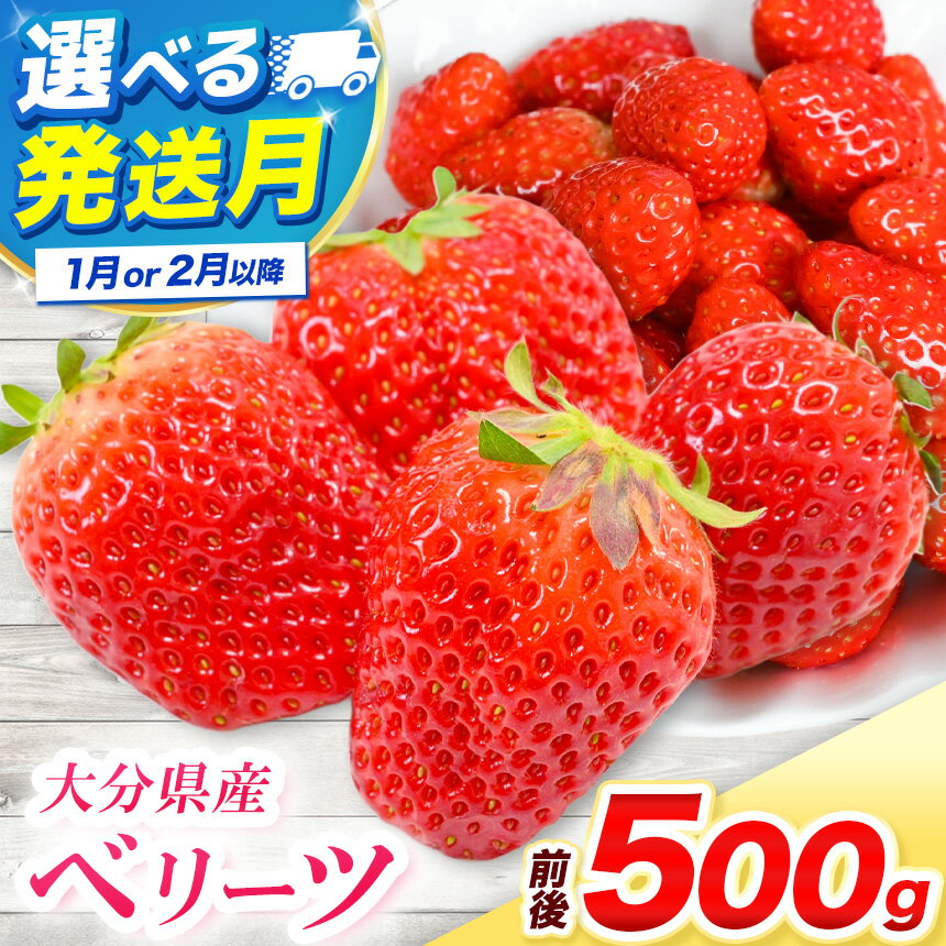 【ふるさと納税】ベリーツ 250g前後 × 2パック 選べる 発送時期 1月 / 2月以降 | 苺 イチゴ いちご ベリー フルーツ 果物 くだもの 大分県産 産地直送 大分県 中津市 送料無料【発送は2026年1月～2026年3月末頃】