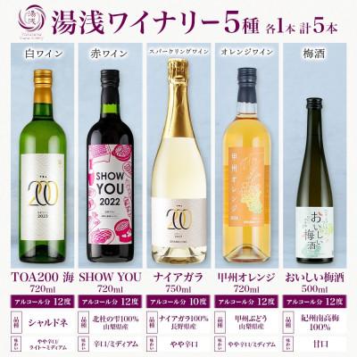 ふるさと納税 湯浅町 湯浅ワイナリー ワインと梅酒5種セット シャルドネ 赤ワイン オレンジワイン スパークリング 梅酒 |  | 01