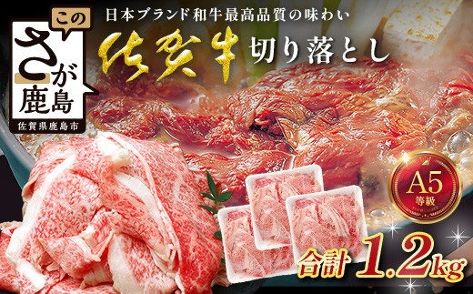
                  【訳あり】佐賀牛 切り落とし 1.2kg 牛肉 ブランド牛 切り落とし 訳アリ 小分け 冷凍 すき焼き しゃぶしゃぶ C-194
                