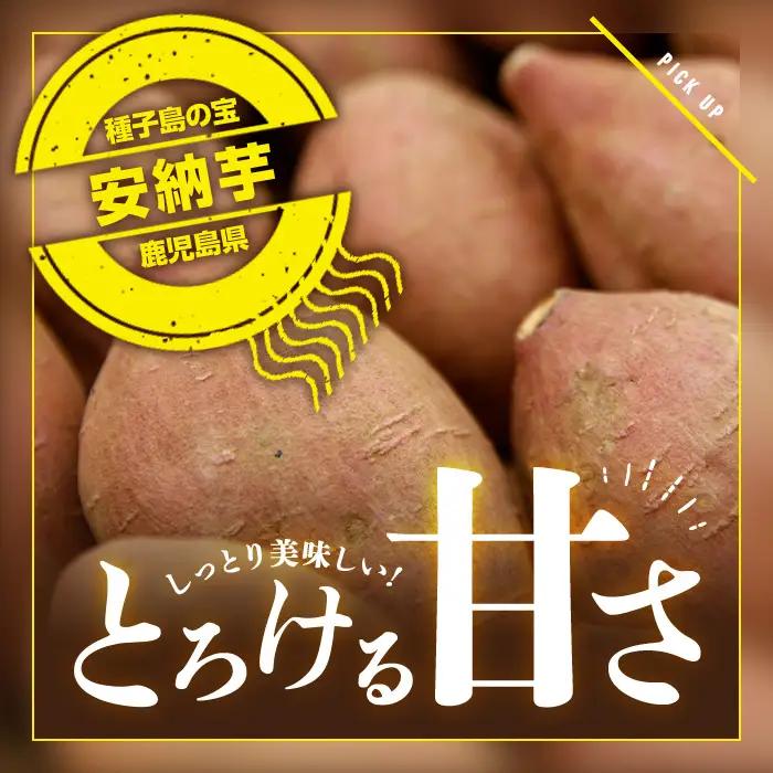 安納芋 さつまいも 3kg 【種子島安納株式会社】n222