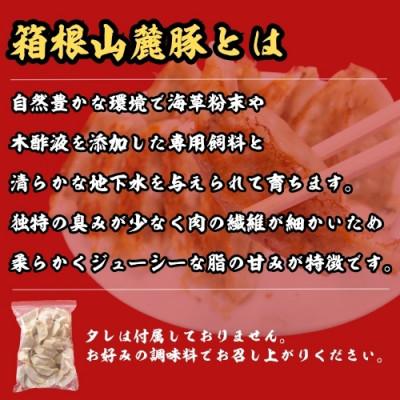 ふるさと納税 三島市 箱根山麓豚冷凍生餃子 30個×2パック |  | 03
