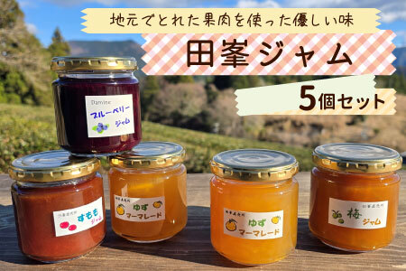 田峯手作りジャム 5個セット ジャム -021