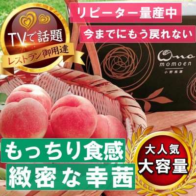 
                  2027年発送先行受付《もっちりカリカリ不思議な幸茜》人気品種指定ギフト5年連続TV出演話題ブランド【1465332】
                