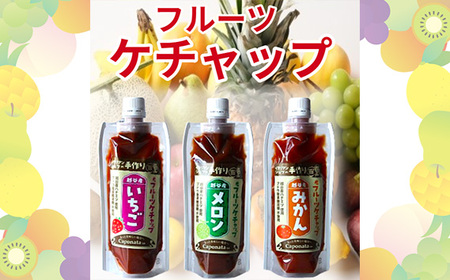 【フルーツケチャップ】苺、メロン、みかんの3種類セットレシピ付き ／ 自家製ケチャップ いちごケチャップ メロンケチャップ みかんケチャップ 埼玉県 No.247