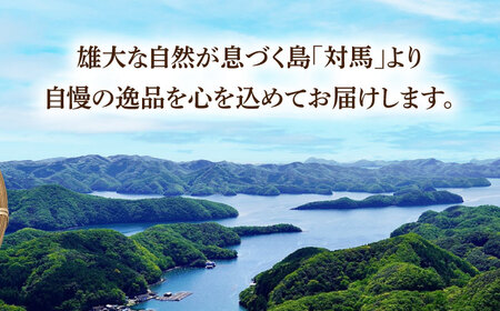 【全2回定期便】幻の魚 クエ 鍋 セット 400g 《対馬市》【海風商事】九州 長崎 対馬 ちり鍋 アラ [WAD049]
