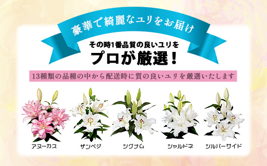 【生産者直送】【幸せと笑顔を届けるオリエンタルリリィ（約5本）】ユリ 百合 花 切り花 フラワー 艶やか 美しい 華やか 可憐 鮮やか 長持ち 強い 有機肥料 自然 人気 ラッピング プレゼント 贈り