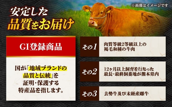 シャトーブリアン あか牛 国産 和牛 400g 焼き肉 高級 希少 牛肉 冷凍 熊本 ヒレ 霜降り 褐色和牛 赤身 山鹿市