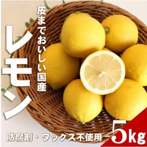 ★先行受付★【ノーワックス】国産 紀州 レモン 約5kg(サイズおまかせ)【1617431】