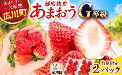 【2回定期便】 あまおうG等級 1ケース（270g×2パック） 広川町 / JAふくおか八女農産物直売所どろや [AFAB083]