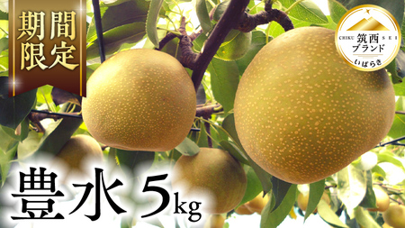 【 JA 北つくば 】 筑西ブランド 認証品 豊水 5kg 2026年産 先行予約 [AE010ci]