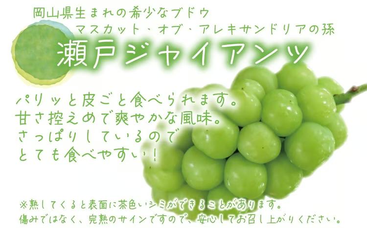 【2027年先行予約】 ぶどう 岡山 花笑み農園の『シャインマスカット&瀬戸ジャイアンツ』1kg (2房) / ぶどう ブドウ 葡萄 シャインマスカット 瀬戸ジャイアンツ 先行予約 フルーツ 果物 真庭市 【hana046-03】