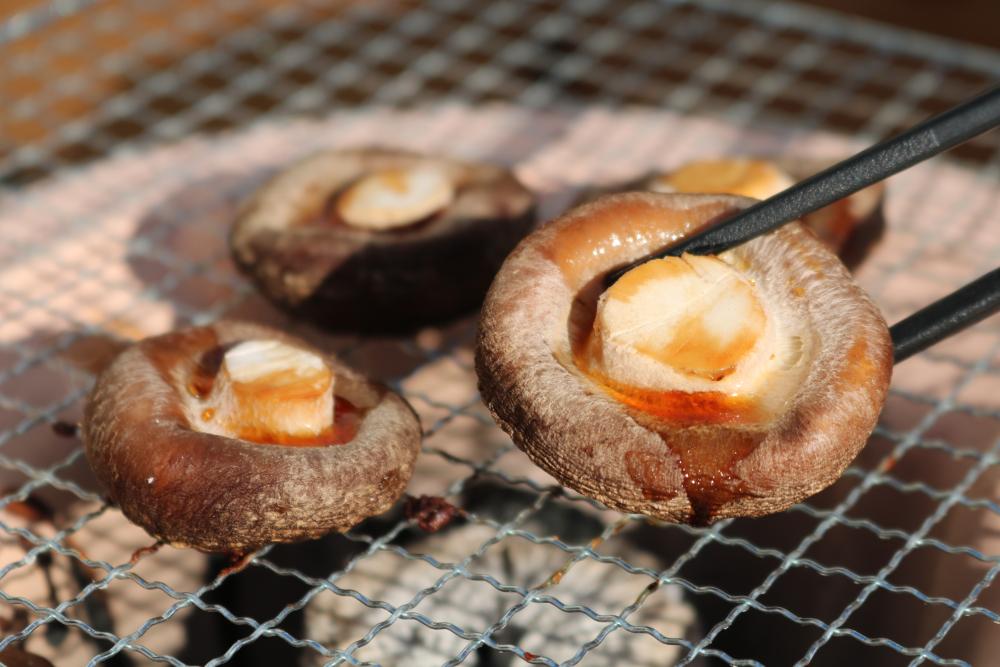 高山村産のナラ炭を使って七輪で焼いている様子。お醤油だけで椎茸のうま味をしっかり感じられます。