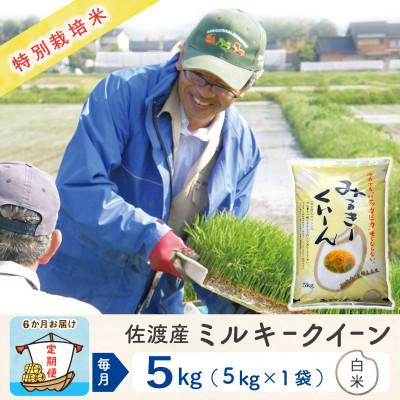 ふるさと納税 佐渡市 【毎月定期便】佐渡島産ミルキークイーン 白米5kg 特別栽培米全6回
