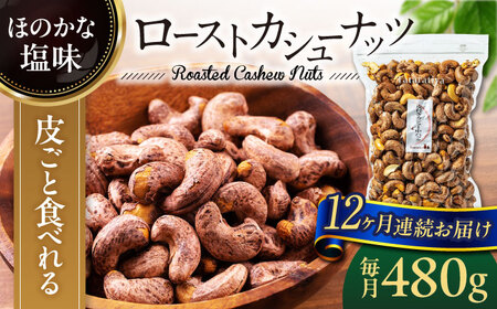 【12回定期便】ロースト 皮付き カシューナッツ 中パック 480ｇ【多々楽達屋】tataratiya おつまみ おやつ [MAD057]