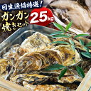 【ふるさと納税】【牡蠣-1グランプリ受賞】牡蠣 日生漁協特選 ガンガン焼きセット 2.5kg ( 殻付き ) 日生町漁業協同組合 《12月中旬-3月中旬頃出荷》岡山県 備前市 送料無料 かき 牡蠣 海産物 産地直送 お取り寄せグルメ ガンガン焼