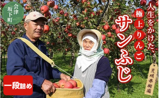 17-A [予約開始！] りんご（サンふじ）5kg（一段詰め）荒明果樹園 人生をかけた、極上りんご（サンふじ）| りんご リンゴ 林檎 果物 くだもの フルーツ 福島県 会津坂下町 ※2026年11月～発送
