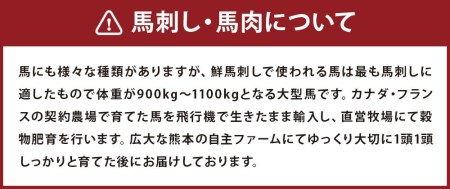 馬かぁホルモン焼 10個 セット 約1kg ホルモン 馬ホルモン