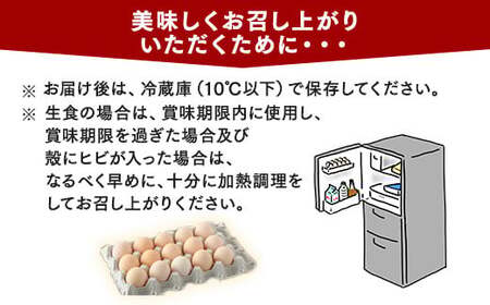 【6ヶ月定期便】相模原市田名のおがわのたまご　ピンク卵 Mサイズ 30個(27個＋割れ補償3個)×6か月