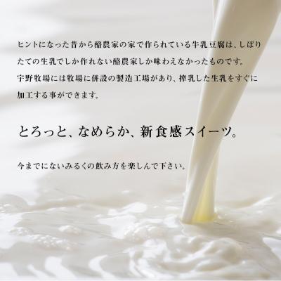 ふるさと納税 天塩町 トロケッテ・ウーノ プレーン&いちご 合計6個 |  | 02