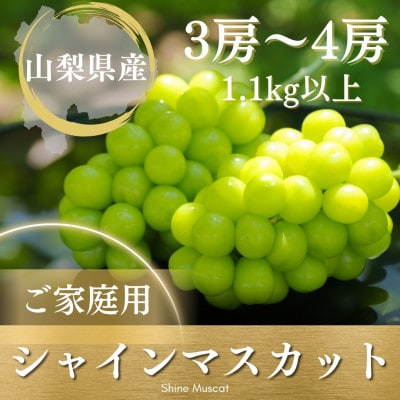 【2026年発送 先行受付】ご家庭用シャインマスカット 3房～4房1.1kg以上 山梨県 山梨市産【配送不可地域：離島】