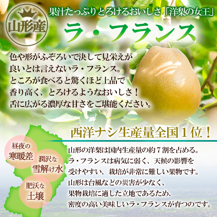 ラ・フランス 約5kg 秀品 (10～16玉) 3L～6L [11月発送] FY25-831