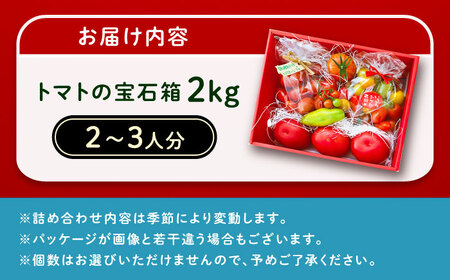 【先行予約】トマトの宝石箱 2kg / 恵那市 / クリエイティブファーマーズ [AUAH014]