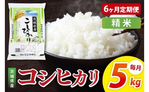 【6ヶ月定期便】茨城県産コシヒカリ　精米　5kg｜精米 定期便 お米 米 こめ コメ ごはん 白米 阿見町 茨城県 茨城県産 茨城県産米 安心 安全 送料無料 国産 人気 数量限定 高評価（85-86）