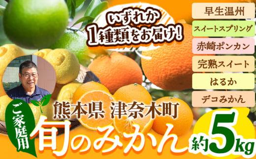 ご家庭用 旬のみかん 約5kg 品種おまかせ つなぎ百貨堂 《10月上旬-2024年5月末頃より発送予定》熊本県 葦北郡 津奈木町 果物 フルーツ 柑橘 みかん 旬のみかん 訳ありみかん ご家庭用みかん 厳選みかん 産直みかん フルーツみかん おまかせみかん スイートスプリング 赤崎ポンカン ぽんかん 完熟スイート はるか デコみかん 早生温州 温州みかん