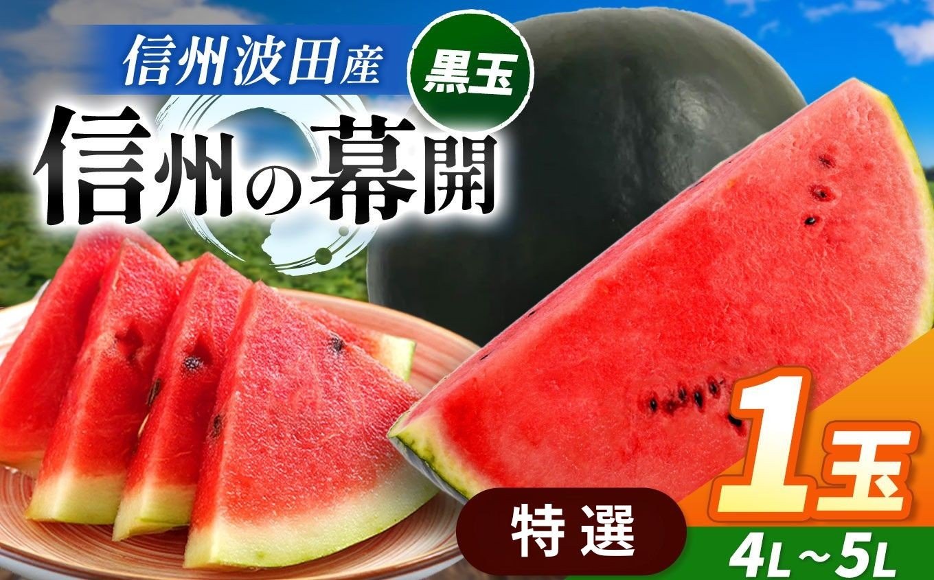 
            【先行受付：2026年7月発送】信州波田産 贈答用 黒玉スイカ ！信州の幕開 【特選】 4L～5Lサイズ 1玉｜ふるさと納税 長野県 信州 松本 果物 フルーツ すいか スイカ 西瓜 贈答 季節限定 甘い くだもの ふるーつ
          